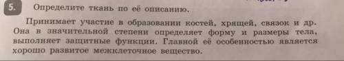 5. Определите ткань по её описанию. Принимает участие в образовании костей, хрящей, связок и др. Она