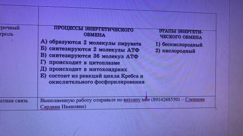 ЭТАПЫ ЭНЕРГЕТИ- ЧЕСКОГО ОБМЕНА 1) бескислородный 2) кислородный ПРОЦЕССЫ ЭНЕРГЕТИЧЕСКОГО ОБМЕНА А) о