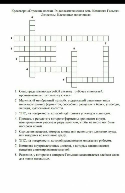 Кроссворд «Строение клетки. Эндоплазматическая сеть. Комплекс Гольджи. Лизосомы. Клеточные включения