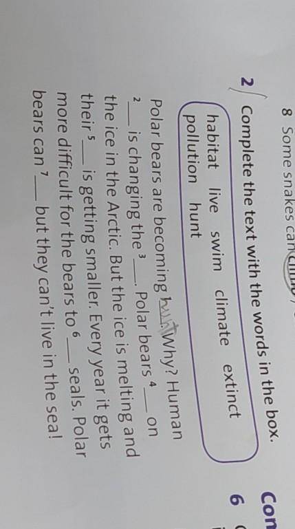 2 Complete the text with the words in the box. habitat live swim climate extinctpollution huntPolar