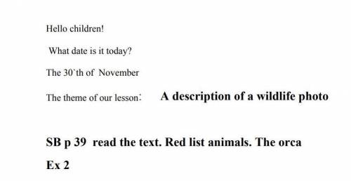 SB p39 read The text. Red list animals. The orca Ex2​