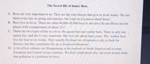 Task 1. Read the text and match topics 1-3 with the paragraph A-D. Ex: Types of bee C1. Bees in dang