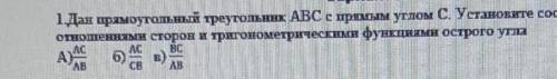 дан прямоугольный треугольник ABC с прямым углом с. установите соответствие между отношение сторон И