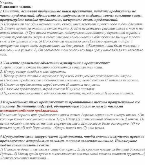 4. В приведённых ниже предложениях из прочитанного текста пронумерованы все запятые. Выпишите цифру