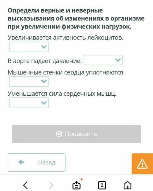 Определи верные и неверные высказывания об изменениях в организме при увеличении физических нагрузок