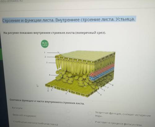 Биология 7 класс Онлайн мектеп