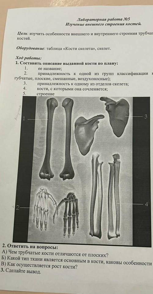 Для моего варианта нужны кости 2,4.​