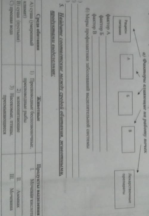 1. Выполните тест с выбором одного правильного ответа 1) Как называют структурную единицу почки, обе