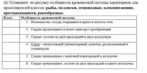 На рисунках изображена кровеносная система представителей разных классов