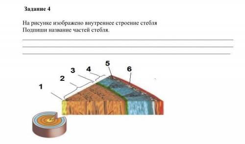 Не могу ответить на этот вопрос