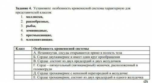 Установите особенности кровеносной системы характерны для представителей классов