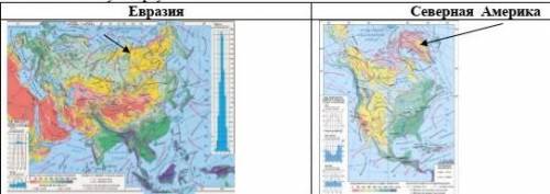 Объясните, какие климатообразующие факторы влияют на сходства климата арктического пояса Евразии и С