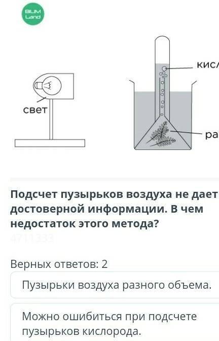 Назад УСЛОВИЯ, НЕОБХОДИМЫЕ ДЛЯ ФОТОСИНТЕЗА. ЛАБОРАТОРНАЯ РАБОТА «ИССЛЕДОВАНИЕ ФАКТОРОВ, ВЛИЯЮЩИХ НА