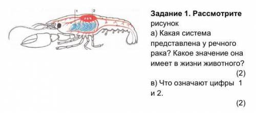 Задание 1. Рассмотрите рисунок а) Какая система представлена у речного рака? Какое значение она имее