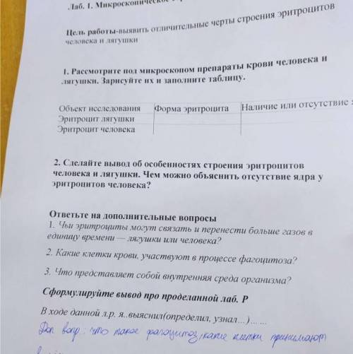 лаборатор. работа Не влезло,допишу здесь Лабораторная работа номер 1. Микроскопическое строение кр