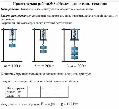 г 2 m = 200 г 3 m = 300 гК динамометру последовательно подвешивали один, два, три груза.Результаты и