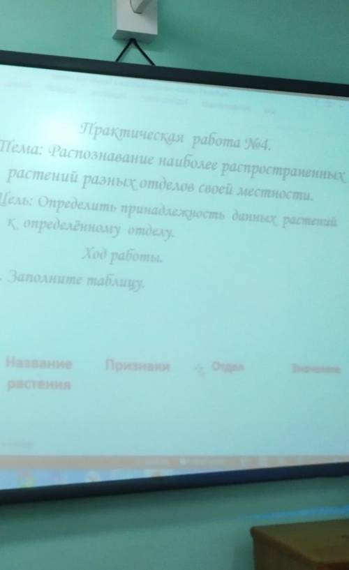 название растения, признаки, отдел ,значение. нужно заполнить таблицу​