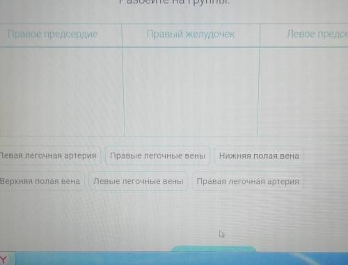 таблица правое предсердие правый желудочек левое предсердие:левая артерия, верхняя полная вена, прав