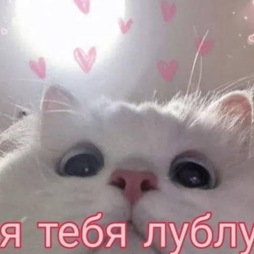￼ ❤️раз ￼￼￼￼￼￼) лови быстрее☀️хорошего тебе настроения
