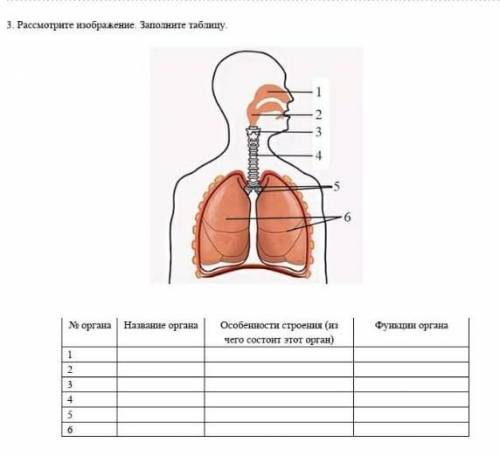 № органа Название органаОсобенности строения (из чего состоит этот орган)Функции органа123456​