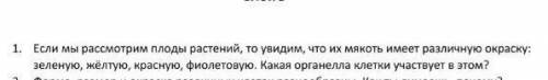 Какая органелла клетки участвуют в окрашивании плода? ​