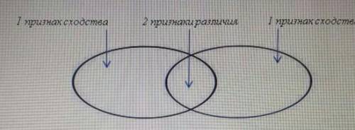 заполниье диограмму венна найдите не менее двух общих для тюрских государств в X-началась XIII вв пр