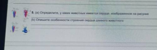 5. (а) определите, у каяких животных и мнениется сердце, изображенное на рисунке (b) Опишите особенн