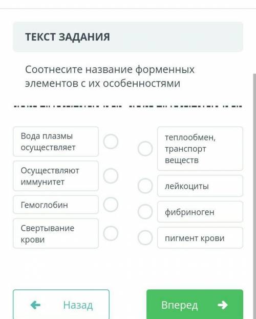 Наиболее значимые проекты