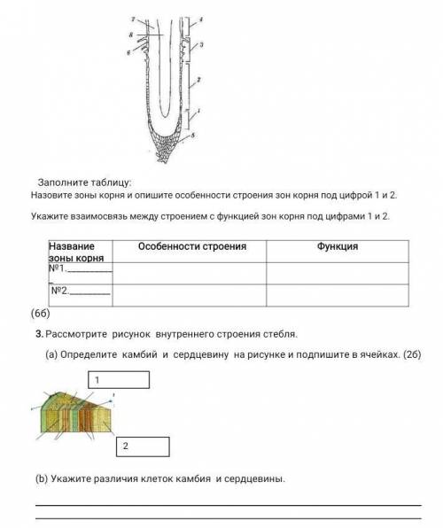 кто чем может хоть одно из них сделайте​