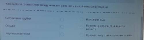 Определите соответствие между клетками растений и выполняймыми функциями Всасывают водуСитовидные тр