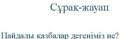 ПАЙДАЛЫ КАЗБАЛАР ДЕГЕНіміз НЕ​