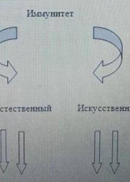 Задание 2 Заполните схему.имунитет естественный искусственный. ​