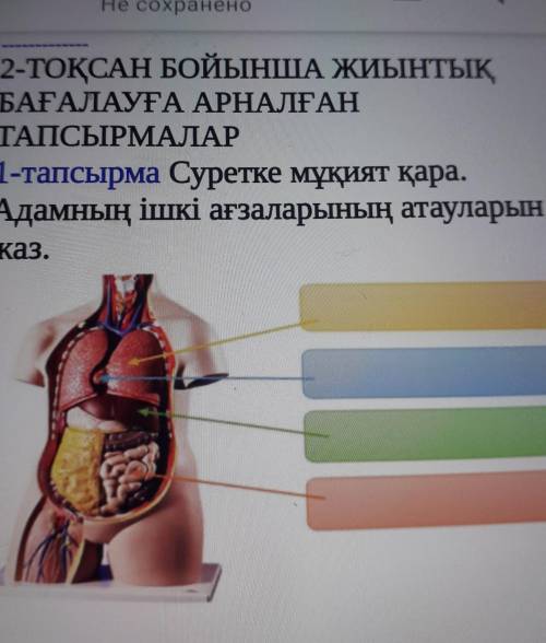 1-тапсырма Суретке мұқият қара.Адамның ішкі ағзаларының атауларынжаз