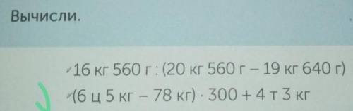 РАБОТА В ПАРЕ Вычисли.16 кг 560 г: (20 кг 560 г- 19 кг 640 г)(6 ц5 кг - 78 кг) - 300 +4 T3 кг​