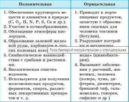 Значение бактерий в природе и человека(положительные,отрицательные)​