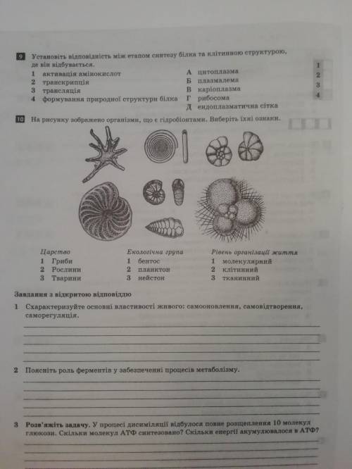 Дайте ответ на 9-10 вопрос (дайте ответ вопросы на украинском.