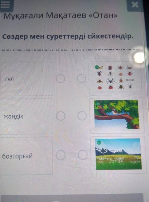 Сөздер мен суреттерді сйкестендір.гүлжәндікбозторғай​