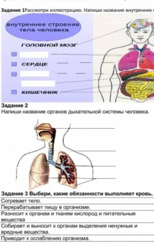 решить сор 3 класса Естественно знания