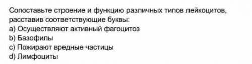 Сопоставьте строение и функцию различных типов дейкоцитов, расставив соответствующие буквы. a) Осуще