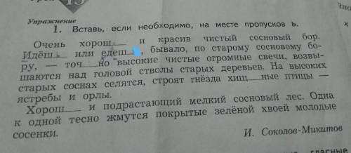 Вставь, если необходимо, на месте пропусков ь​