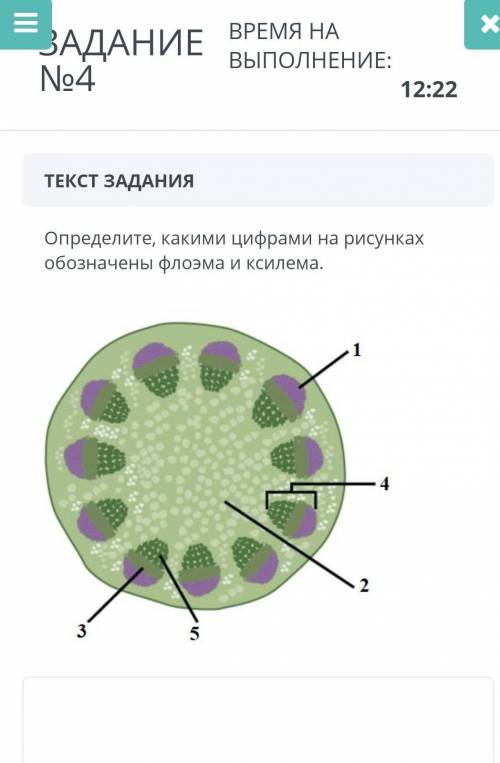 Открыть чат ЗАДАНИЕ №4ВРЕМЯ НА ВЫПОЛНЕНИЕ:14:02ТЕКСТ ЗАДАНИЯОпределите, какими цифрами на рисунках о