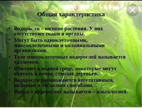 В тетради составить общую характеристику водорослей по плану: 1. Происхождение2. Места обитания и фо