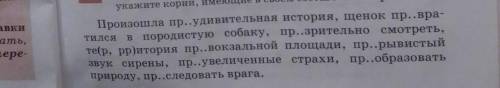 Составьте 5 предложений со словосочетаниями по выбору​