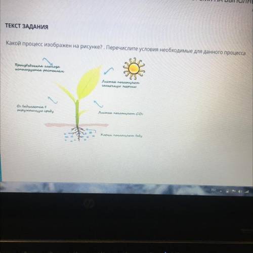 ТЕКСТ ЗАДАНИЯ Какой процесс изображен на рисунке? . Перечислите условия необходимые для данного проц