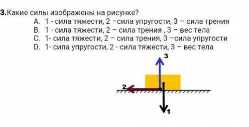 Изобразите силы действующие на вазу стоящую на столе