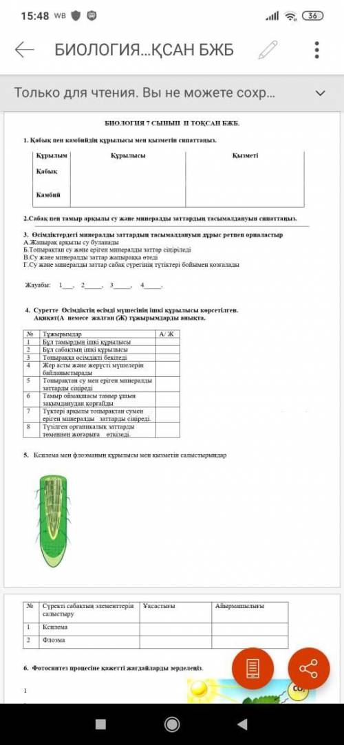 7-класс 2 токсан ☣ биология дам 100.