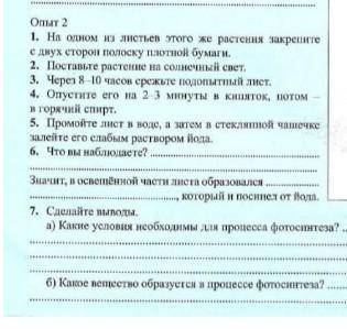 Опыт 2 1. На оном і листьев того же растен акрепитес двух сторон полоску потоll бумаги2. Поставьте р