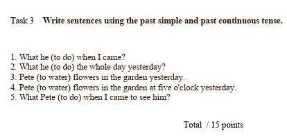 Write sentences using the past simple and past continuous tense ​