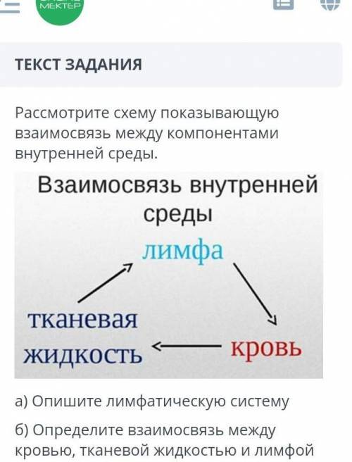 Рассмотрите схему показывающую взаимосвязь между компонентами внутренней среды. а) Опишите лимфатиче