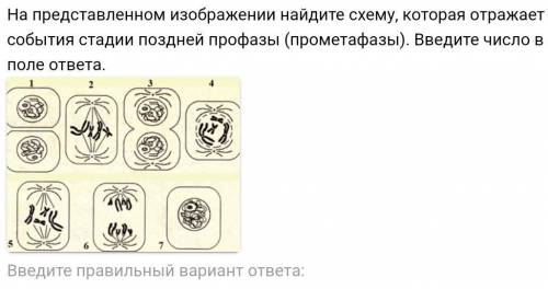 Hh помгогите только дайте правильный ответ